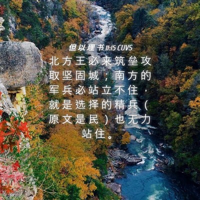 Picture 04 - 但 以 理 书 11:15 CUVS - 北 方 王 必 来 筑 垒 攻 取 坚 固 城 - Bible Verse Picture