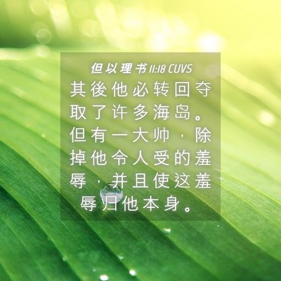 Picture 04 - 但 以 理 书 11:18 CUVS - 其 後 他 必 转 回 夺 取 了 许 多 海 - Bible Verse Picture