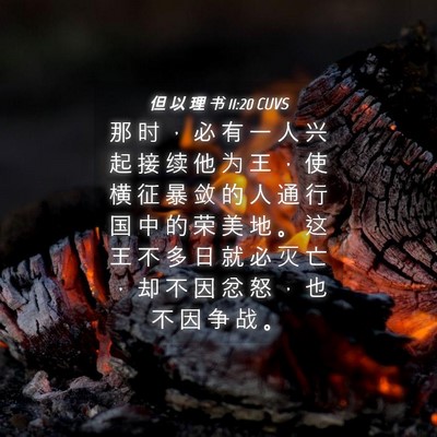 Picture 04 - 但 以 理 书 11:20 CUVS - 那 时 ， 必 有 一 人 兴 起 接 续 他 - Bible Verse Picture