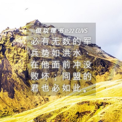 Picture 04 - 但 以 理 书 11:22 CUVS - 必 有 无 数 的 军 兵 势 如 洪 水 ， - Bible Verse Picture