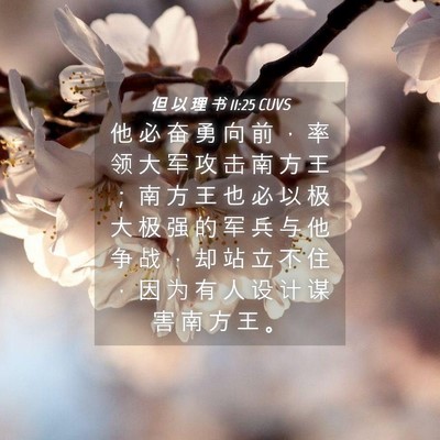 Picture 04 - 但 以 理 书 11:25 CUVS - 他 必 奋 勇 向 前 ， 率 领 大 军 攻 - Bible Verse Picture