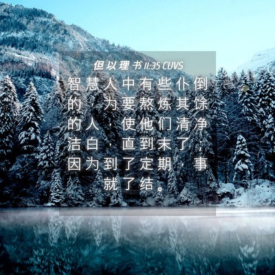 Picture 04 - 但 以 理 书 11:35 CUVS - 智 慧 人 中 有 些 仆 倒 的 ， 为 要 - Bible Verse Picture
