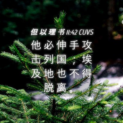 Picture 04 - 但 以 理 书 11:42 CUVS - 他 必 伸 手 攻 击 列 国 ； 埃 及 地 - Bible Verse Picture