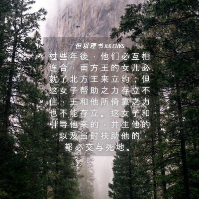 Picture 04 - 但 以 理 书 11:6 CUVS - 过 些 年 後 ， 他 们 必 互 相 连 合 - Bible Verse Picture