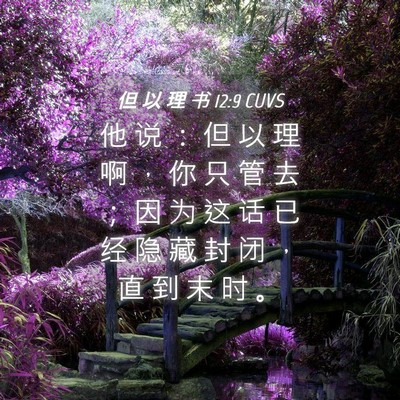 Picture 04 - 但 以 理 书 12:9 CUVS - 他 说 ： 但 以 理 啊 ， 你 只 管 去 - Bible Verse Picture