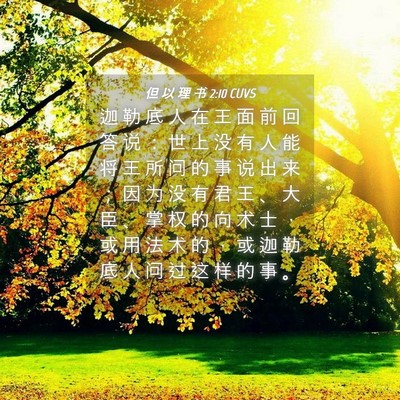 Picture 04 - 但 以 理 书 2:10 CUVS - 迦 勒 底 人 在 王 面 前 回 答 说 ： - Bible Verse Picture