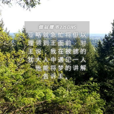 Picture 04 - 但 以 理 书 2:25 CUVS - 亚 略 就 急 忙 将 但 以 理 领 到 王 - Bible Verse Picture