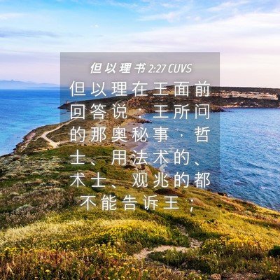 Picture 04 - 但 以 理 书 2:27 CUVS - 但 以 理 在 王 面 前 回 答 说 ： 王 - Bible Verse Picture