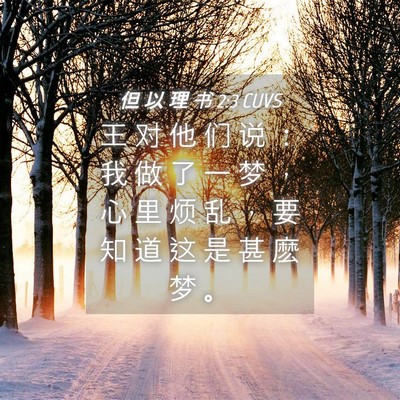 Picture 04 - 但 以 理 书 2:3 CUVS - 王 对 他 们 说 ： 我 做 了 一 梦 ， - Bible Verse Picture