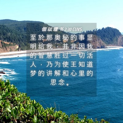 Picture 04 - 但 以 理 书 2:30 CUVS - 至 於 那 奥 秘 的 事 显 明 给 我 ， - Bible Verse Picture