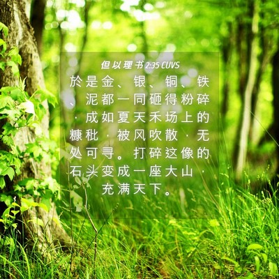Picture 04 - 但 以 理 书 2:35 CUVS - 於 是 金 、 银 、 铜 、 铁 、 泥 都 - Bible Verse Picture