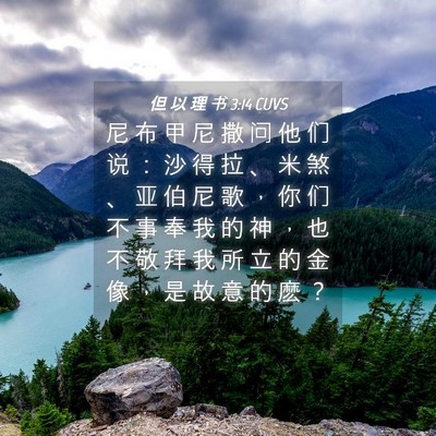 Picture 04 - 但 以 理 书 3:14 CUVS - 尼 布 甲 尼 撒 问 他 们 说 ： 沙 得 - Bible Verse Picture