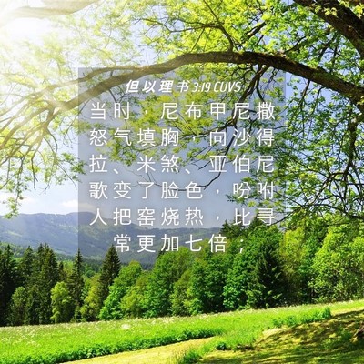 Picture 04 - 但 以 理 书 3:19 CUVS - 当 时 ， 尼 布 甲 尼 撒 怒 气 填 胸 - Bible Verse Picture