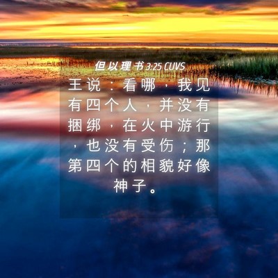 Picture 04 - 但 以 理 书 3:25 CUVS - 王 说 ： 看 哪 ， 我 见 有 四 个 人 - Bible Verse Picture