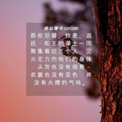 Picture 04 - 但 以 理 书 3:27 CUVS - 那 些 总 督 、 钦 差 、 巡 抚 ， 和 - Bible Verse Picture