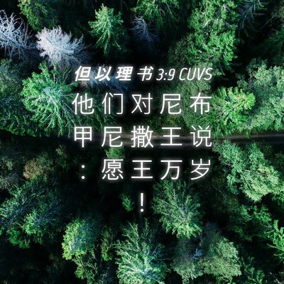 Picture 04 - 但 以 理 书 3:9 CUVS - 他 们 对 尼 布 甲 尼 撒 王 说 ： 愿 - Bible Verse Picture