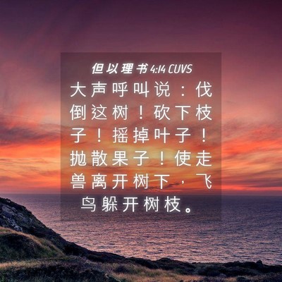 Picture 04 - 但 以 理 书 4:14 CUVS - 大 声 呼 叫 说 ： 伐 倒 这 树 ！ 砍 - Bible Verse Picture