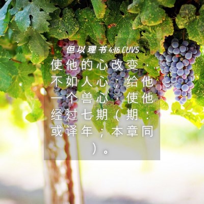 Picture 04 - 但 以 理 书 4:16 CUVS - 使 他 的 心 改 变 ， 不 如 人 心 ； - Bible Verse Picture