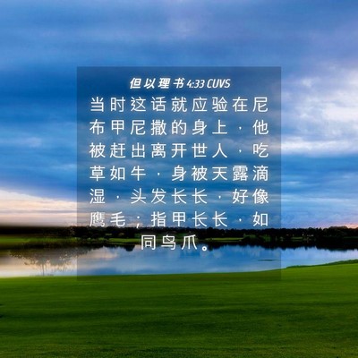 Picture 04 - 但 以 理 书 4:33 CUVS - 当 时 这 话 就 应 验 在 尼 布 甲 尼 - Bible Verse Picture