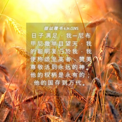 Picture 04 - 但 以 理 书 4:34 CUVS - 日 子 满 足 ， 我 ─ 尼 布 甲 尼 撒 - Bible Verse Picture
