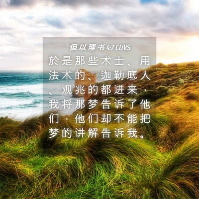 Picture 04 - 但 以 理 书 4:7 CUVS - 於 是 那 些 术 士 、 用 法 术 的 、 - Bible Verse Picture