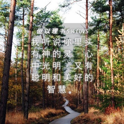 Picture 04 - 但 以 理 书 5:14 CUVS - 我 听 说 你 里 头 有 神 的 灵 ， 心 - Bible Verse Picture