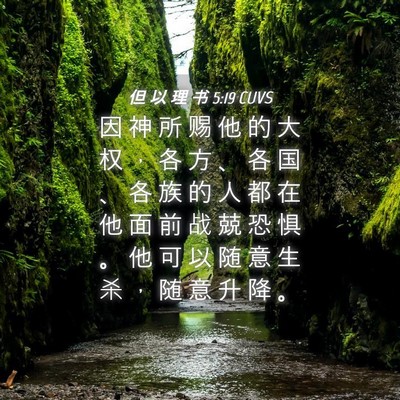 Picture 04 - 但 以 理 书 5:19 CUVS - 因 神 所 赐 他 的 大 权 ， 各 方 、 - Bible Verse Picture