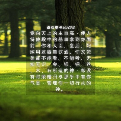 Picture 04 - 但 以 理 书 5:23 CUVS - 竟 向 天 上 的 主 自 高 ， 使 人 将 - Bible Verse Picture