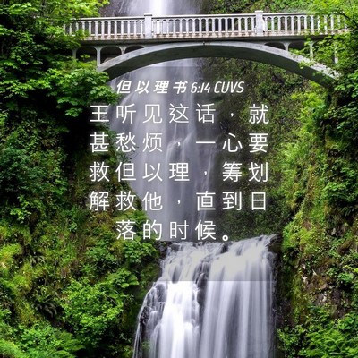 Picture 04 - 但 以 理 书 6:14 CUVS - 王 听 见 这 话 ， 就 甚 愁 烦 ， 一 - Bible Verse Picture