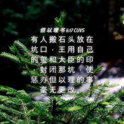 Picture 04 - 但 以 理 书 6:17 CUVS - 有 人 搬 石 头 放 在 坑 口 ， 王 用 - Bible Verse Picture