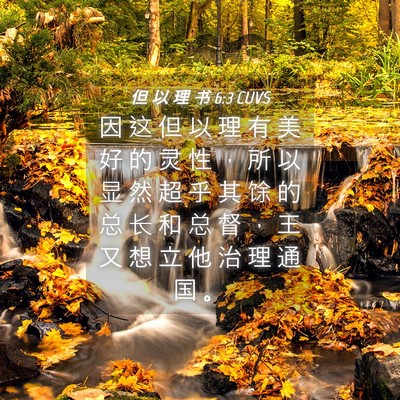 Picture 04 - 但 以 理 书 6:3 CUVS - 因 这 但 以 理 有 美 好 的 灵 性 ， - Bible Verse Picture