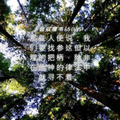 Picture 04 - 但 以 理 书 6:5 CUVS - 那 些 人 便 说 ： 我 们 要 找 参 这 - Bible Verse Picture