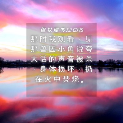 Picture 04 - 但 以 理 书 7:11 CUVS - 那 时 我 观 看 ， 见 那 兽 因 小 角 - Bible Verse Picture