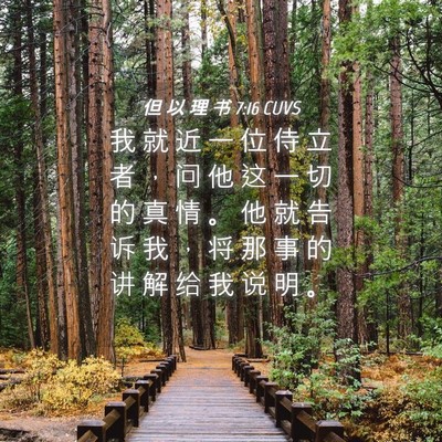 Picture 04 - 但 以 理 书 7:16 CUVS - 我 就 近 一 位 侍 立 者 ， 问 他 这 - Bible Verse Picture