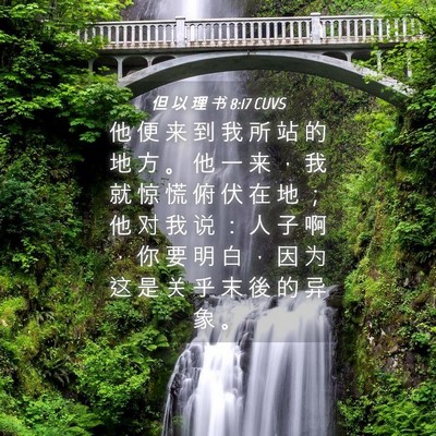 Picture 04 - 但 以 理 书 8:17 CUVS - 他 便 来 到 我 所 站 的 地 方 。 他 - Bible Verse Picture