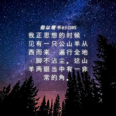 Picture 04 - 但 以 理 书 8:5 CUVS - 我 正 思 想 的 时 候 ， 见 有 一 只 - Bible Verse Picture