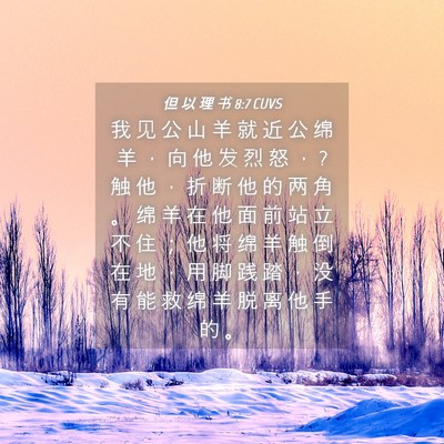 Picture 04 - 但 以 理 书 8:7 CUVS - 我 见 公 山 羊 就 近 公 绵 羊 ， 向 - Bible Verse Picture