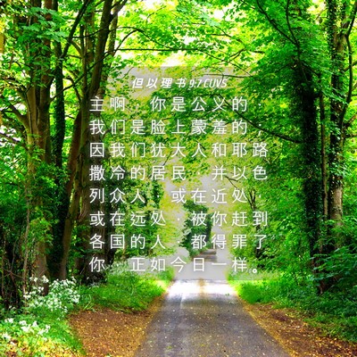 Picture 04 - 但 以 理 书 9:7 CUVS - 主 啊 ， 你 是 公 义 的 ， 我 们 是 - Bible Verse Picture