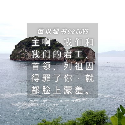 Picture 04 - 但 以 理 书 9:8 CUVS - 主 啊 ， 我 们 和 我 们 的 君 王 、 - Bible Verse Picture