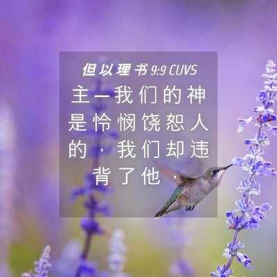 Picture 04 - 但 以 理 书 9:9 CUVS - 主 ─ 我 们 的 神 是 怜 悯 饶 恕 人 - Bible Verse Picture
