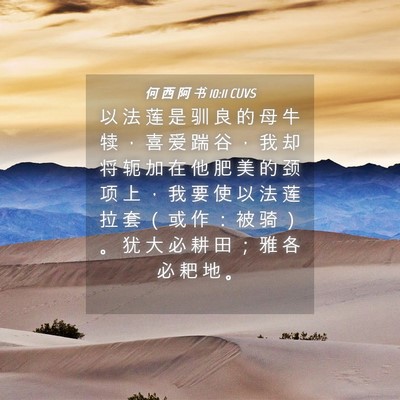 Picture 04 - 何 西 阿 书 10:11 CUVS - 以 法 莲 是 驯 良 的 母 牛 犊 ， 喜 - Bible Verse Picture