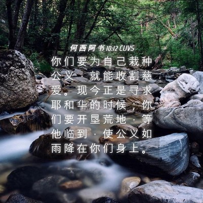 Picture 04 - 何 西 阿 书 10:12 CUVS - 你 们 要 为 自 己 栽 种 公 义 ， 就 - Bible Verse Picture