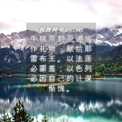 Picture 04 - 何 西 阿 书 10:6 CUVS - 牛 犊 带 到 亚 述 当 作 礼 物 ， 献 - Bible Verse Picture