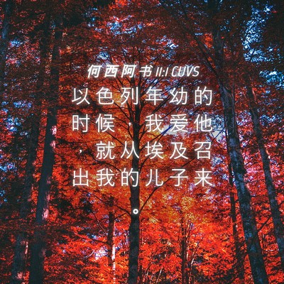 Picture 04 - 何 西 阿 书 11:1 CUVS - 以 色 列 年 幼 的 时 候 ， 我 爱 他 - Bible Verse Picture