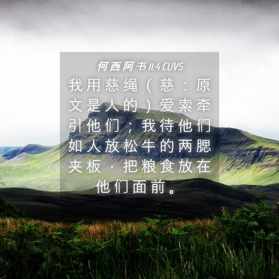 Picture 04 - 何 西 阿 书 11:4 CUVS - 我 用 慈 绳 （ 慈 ： 原 文 是 人 的 - Bible Verse Picture