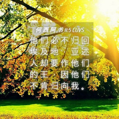 Picture 04 - 何 西 阿 书 11:5 CUVS - 他 们 必 不 归 回 埃 及 地 ， 亚 述 - Bible Verse Picture