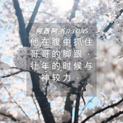 Picture 04 - 何 西 阿 书 12:3 CUVS - 他 在 腹 中 抓 住 哥 哥 的 脚 跟 ， - Bible Verse Picture