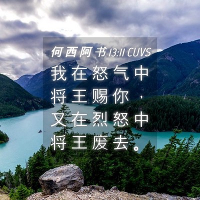 Picture 04 - 何 西 阿 书 13:11 CUVS - 我 在 怒 气 中 将 王 赐 你 ， 又 在 - Bible Verse Picture
