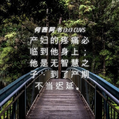Picture 04 - 何 西 阿 书 13:13 CUVS - 产 妇 的 疼 痛 必 临 到 他 身 上 ； - Bible Verse Picture