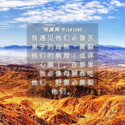 Picture 04 - 何 西 阿 书 13:8 CUVS - 我 遇 见 他 们 必 像 丢 崽 子 的 母 - Bible Verse Picture